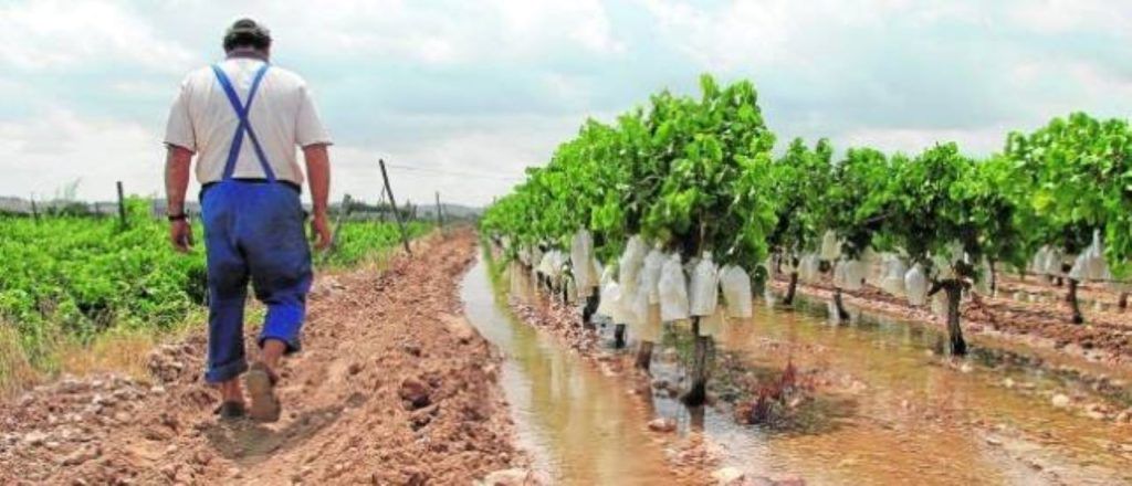 Para aprovechar mejor el agua, Irrigación capacita a agricultores mendocinos