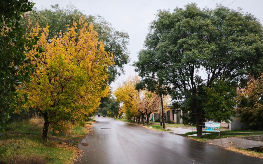 «Luces y Sombras» de la semana que pasó