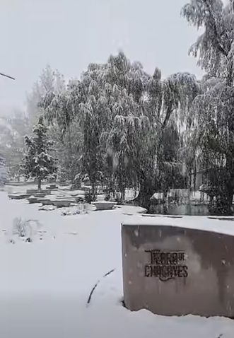 «Luces y Sombras» de la semana que pasó