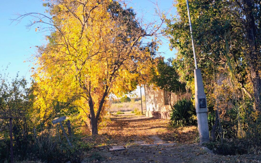 «Luces y Sombras» de la semana que pasó