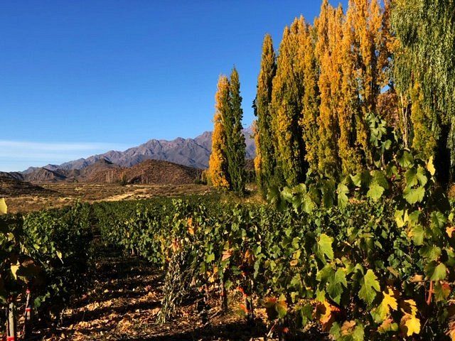 Fin de semana largo, cómo estará el clima en Valle de Uco