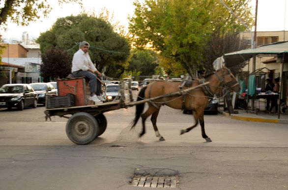 Feriado del 9 de julio, cómo trabaajará el comercio en Valle de Uco